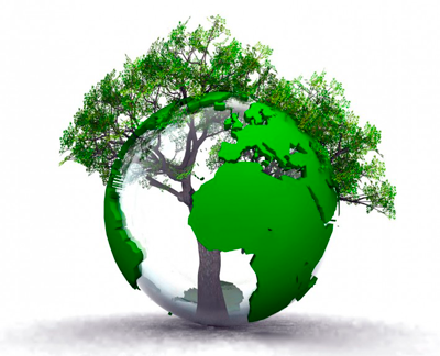 Impacto Ambiental